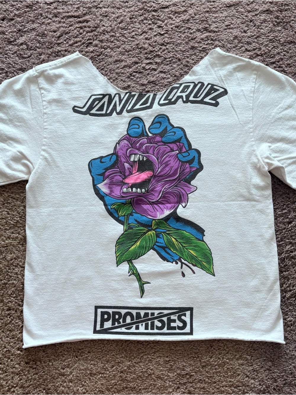 Santa Cruz x Broken Promises collab Graphic Tee